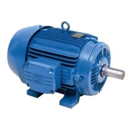 Motor IMB35 TRIF WEG