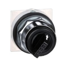 Interruptor 9001KS11B Schneider Electric