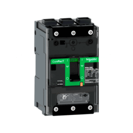 Interruptor C11B3TM100L Schneider Electric