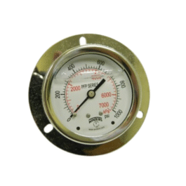 Manómetro PFP929-25FF-SG Winters