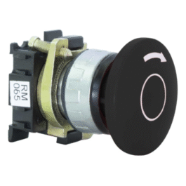 Botonera RM 065N AEA