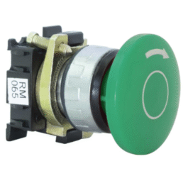 Botonera RM 065V AEA