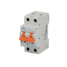 Interruptor TMI-6KA-C06 2P AEA