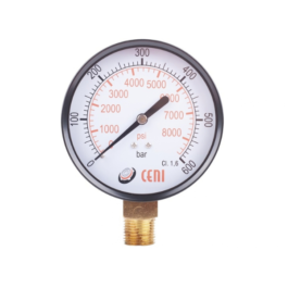 Manómetro 11Ø100 R 1/2