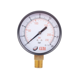 Manómetro 11Ø100 R 1/2